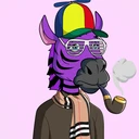 ZESTYZEBRA3737