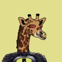 GenuineGiraffe_2965