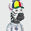 ZESTYZEBRA2931