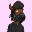 ZESTYZEBRA227
