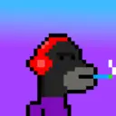 MoneyWifhat0212