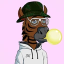 ZESTYZEBRA4649