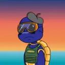 TTSTurtle2427