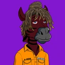 ZESTYZEBRA3432