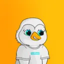 tappy5075