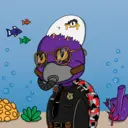 TTSTurtle1410