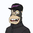 ChilledKong6629