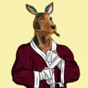 kangaroofightsociety#2487