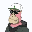 ChilledKong1011