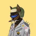 WolfSyndicate2566