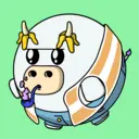 Bubulls2131