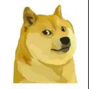 cDogecDoge