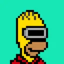 HomerPunks6866