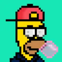 HomerPunks2934