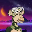 CardanoBoredApe3404