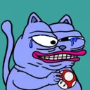 CHONKS260