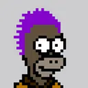HomerPunks9625
