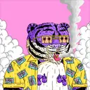 Tigerz4611