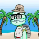 TTSTurtle4173