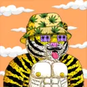 Tigerz3864