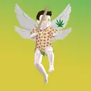 Angel03912