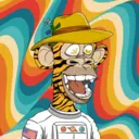 CardanoBoredApe556