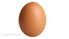 Eggcellent