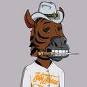ZESTYZEBRA3921
