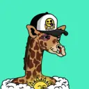 GenuineGiraffe_2245