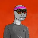 Skynz 2064