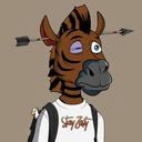 ZESTYZEBRA1225