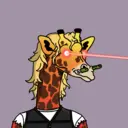 GenuineGiraffe_0176