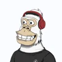 ChilledKong4920