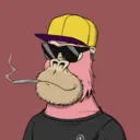 ChilledKong3081