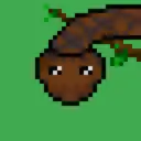 SNEK Bros #2660