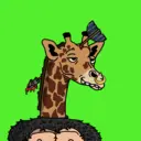 GenuineGiraffe_3824