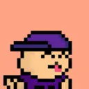 pixel seal 1000
