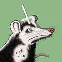 Possum #4552