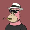 ChilledKong5506