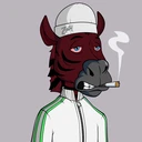 ZESTYZEBRA2065