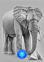 NFTN242NyiragongoDRC