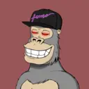 ChilledKong2639