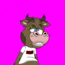 BlazedBullsNFTs1220