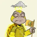 DaisyShardCongo