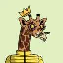GenuineGiraffe_3699