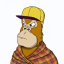 ChilledKong8148